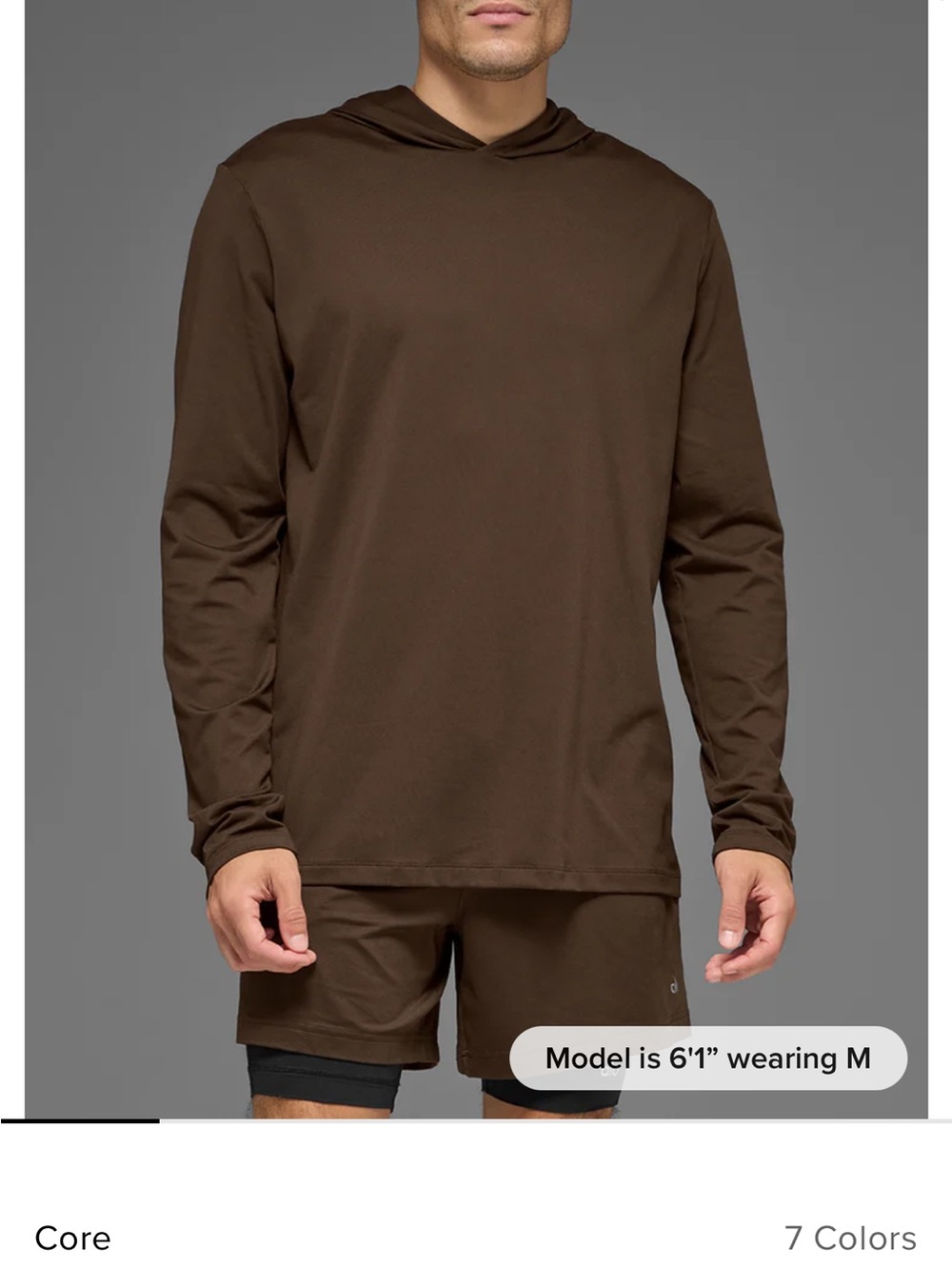 Brown Hooded Athletic Pullover ALO men’s